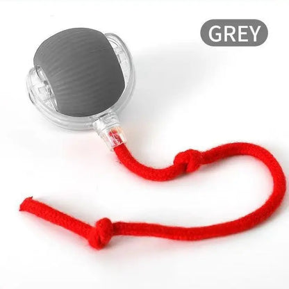 2026 New Smart Automatic Rolling , USB , Light-Up, Quiet, Bite-Resistant, Wear-Resistant, Non-Toxic Interactive for Kittens, Non-Toxic Interactive Juguete Para Mascota Free Gift Rechargeable Adjustable Mode Cat Ball Toy Speedy Tail Moving Dog Fun