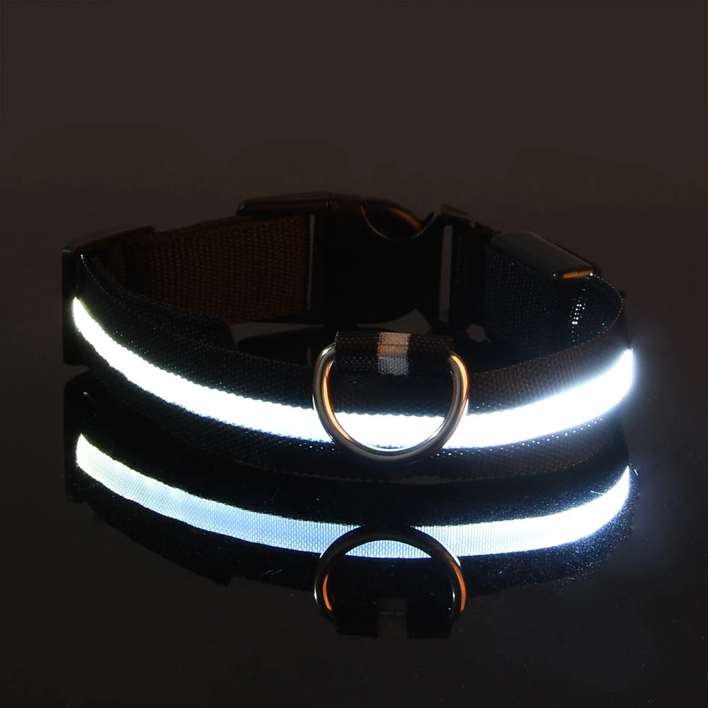 Collier LED lumineux pour chien