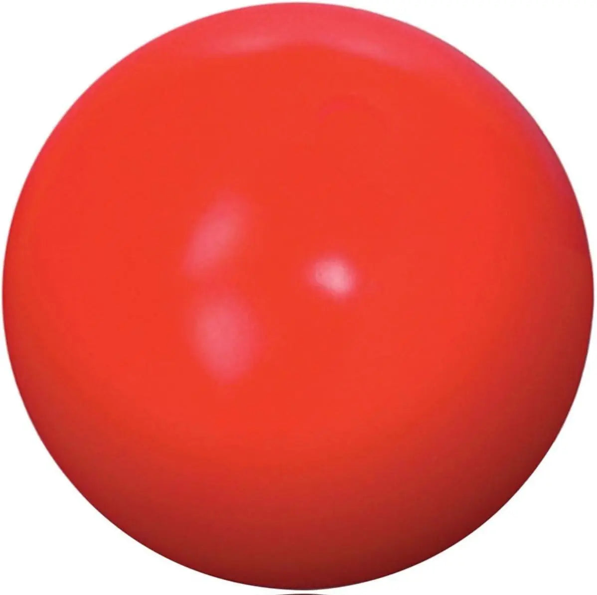 Virtually Indestructible Best Ball for Dogs, 10-Inch