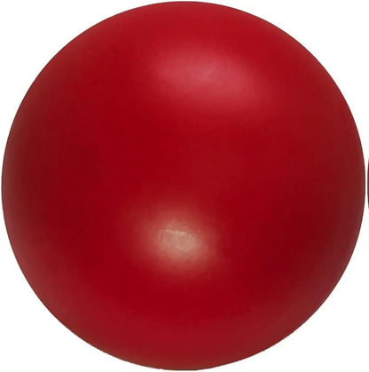 Virtually Indestructible Best Ball for Dogs, 10-Inch