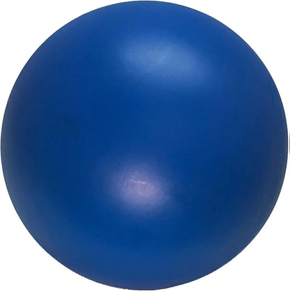 Virtually Indestructible Best Ball for Dogs, 10-Inch