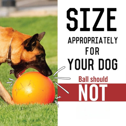 Virtually Indestructible Best Ball for Dogs, 10-Inch
